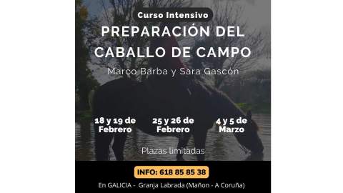Preparación del caballo de Campo