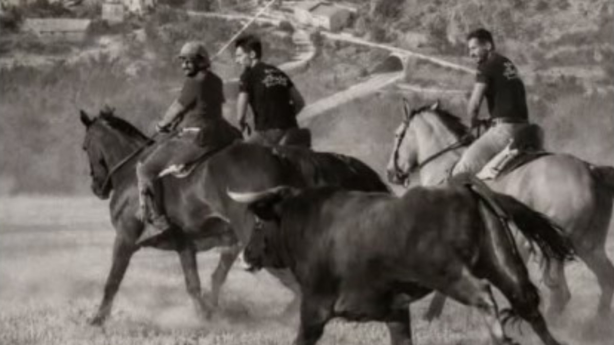 Sep&uacute;lveda presenta el proyecto de recuperaci&oacute;n del encierro con caballos