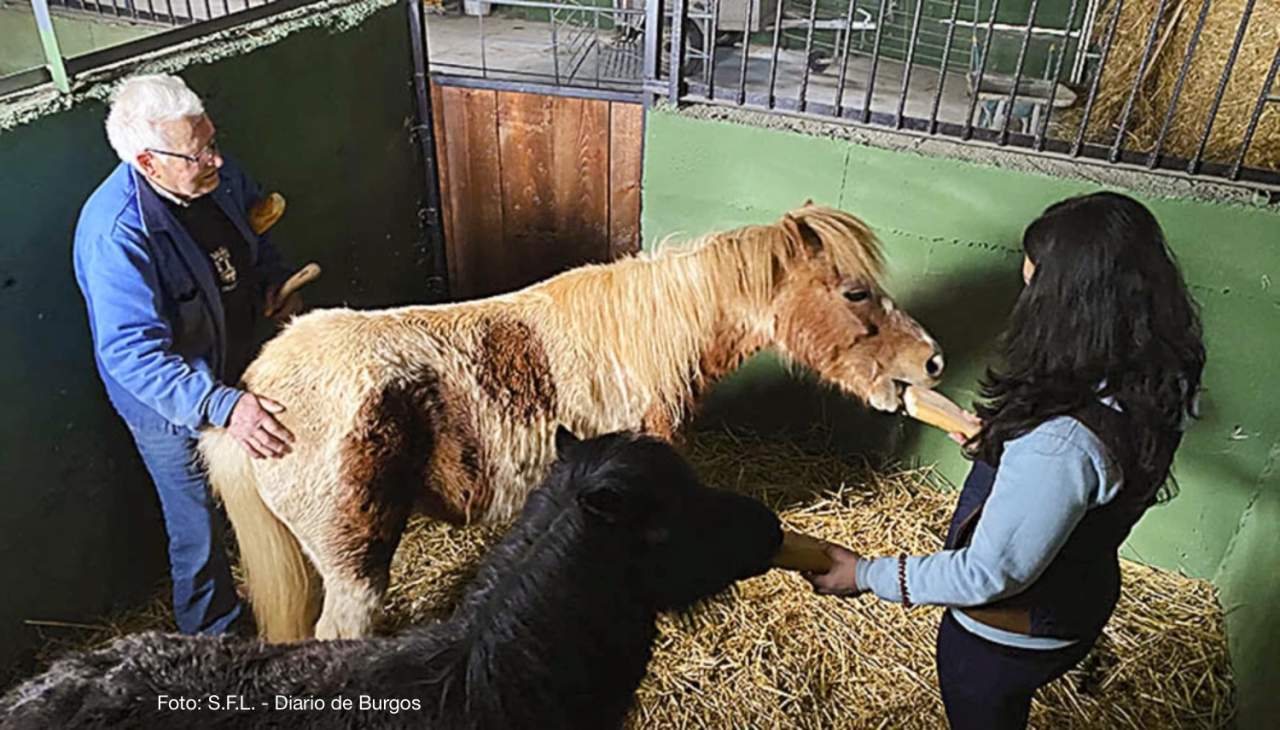 La Cascada: el sue&ntilde;o ecuestre que nace entre Tobera y Fr&iacute;as
