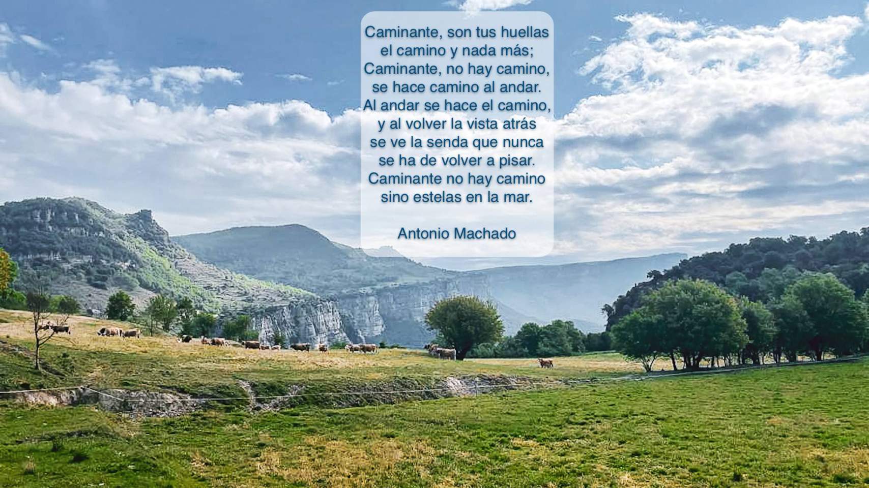 [Img #4571]