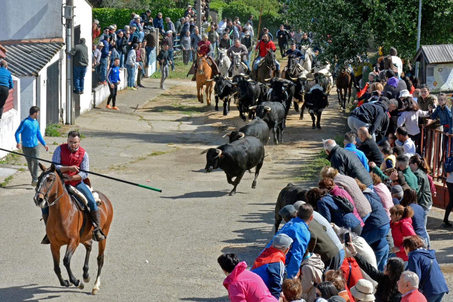 La Fiesta del Noveno