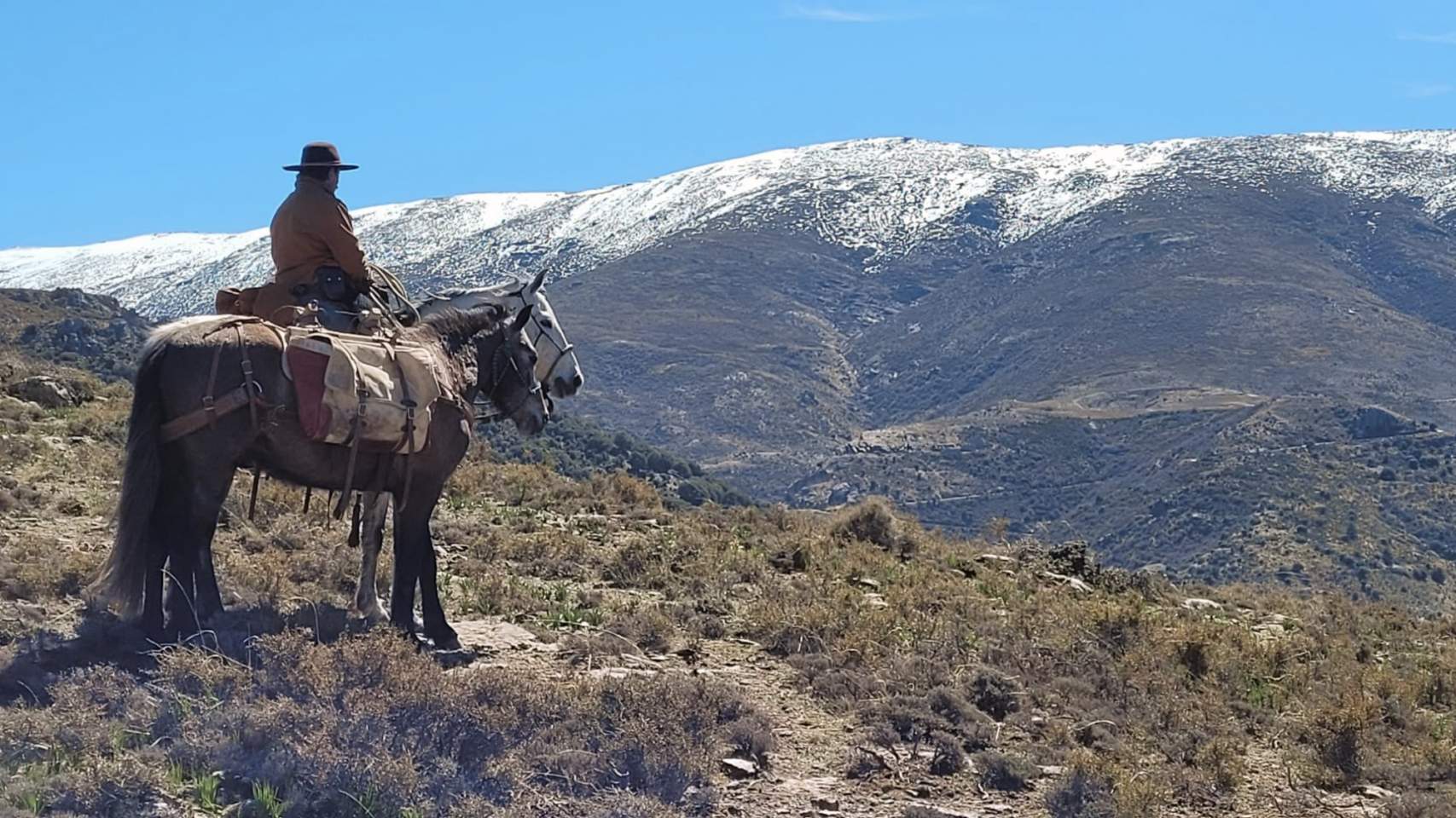 El baste de carga y la reata