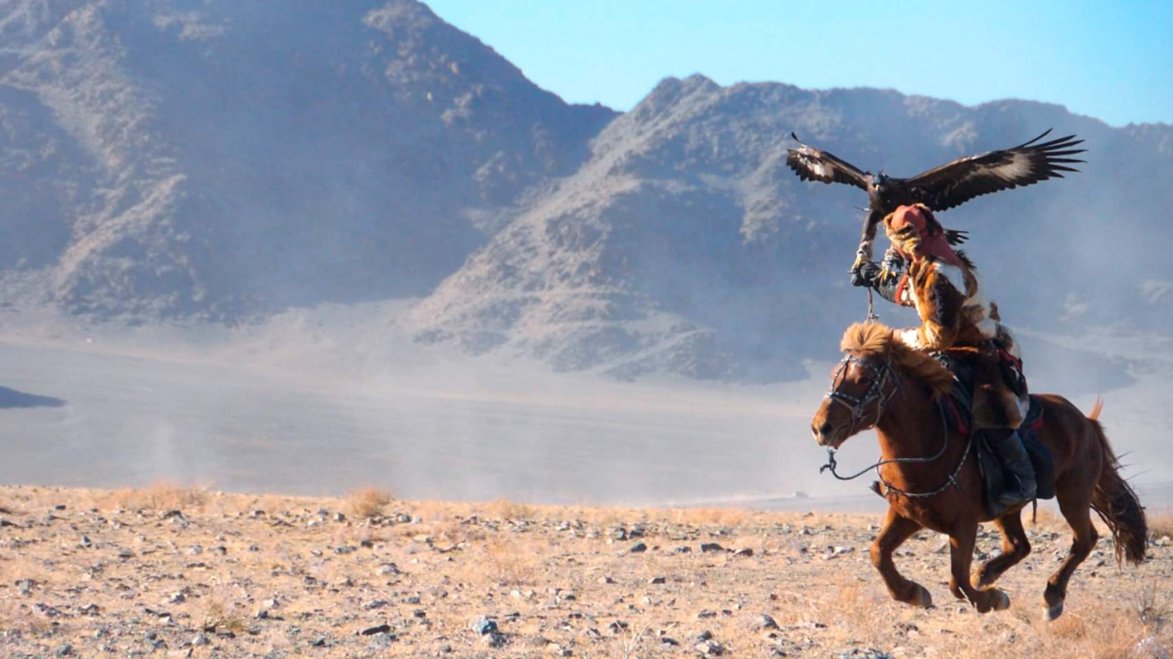 Cazando a caballo con un águila en Mongolia